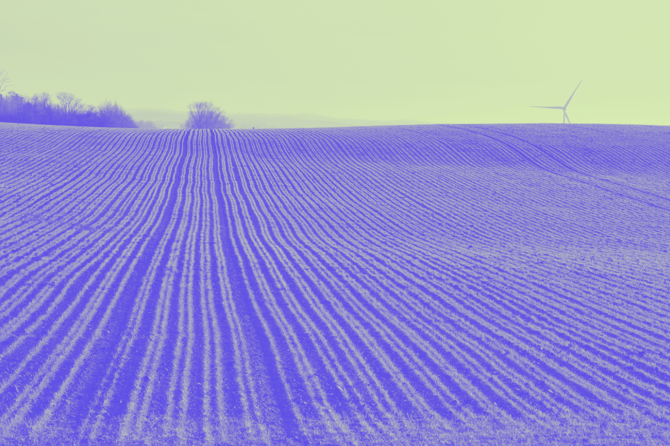 Exploitant agricole : avez-vous songé à la transmission de votre exploitation ?